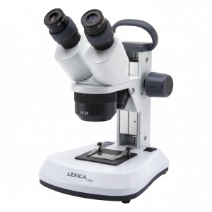 Stereoscopic Microscopes